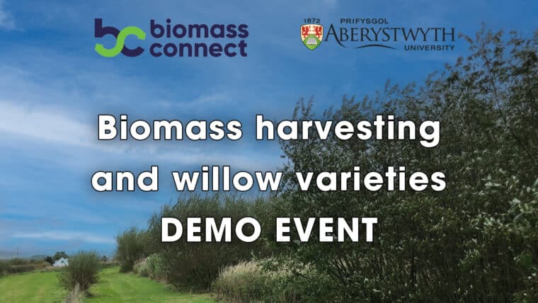 Biomass harvesting and willow varieties – Biomass Connect Demo Event