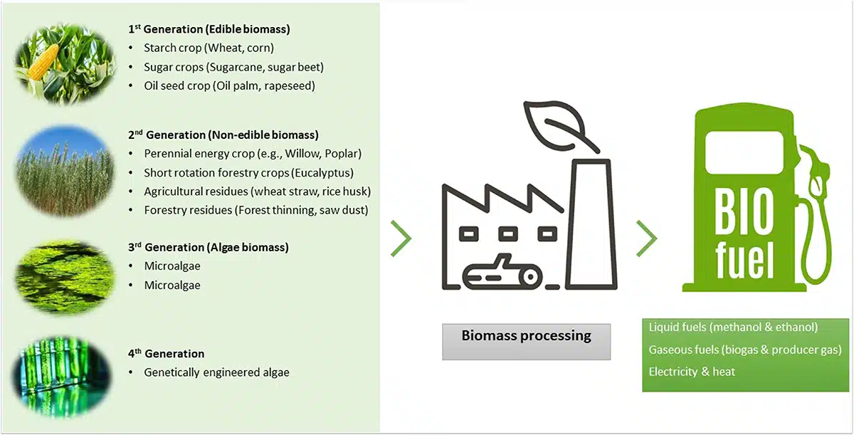 biofuels